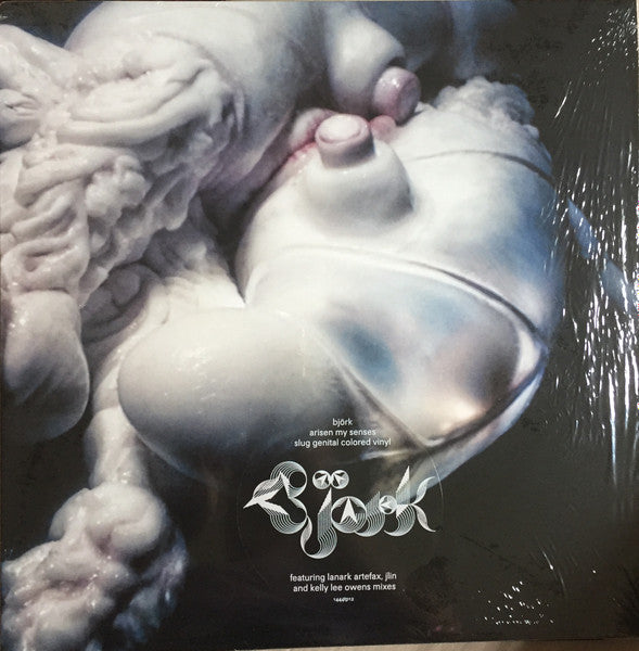 Björk : Arisen My Senses (12", Slu)