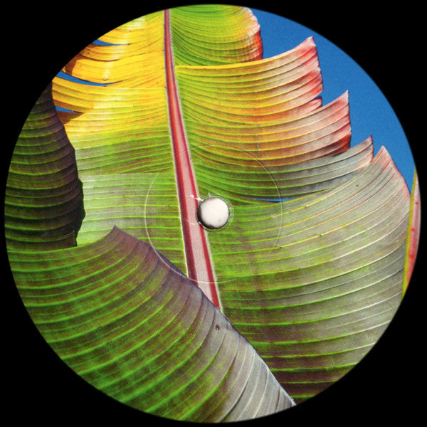 KH* : Only Human (12", S/Sided)