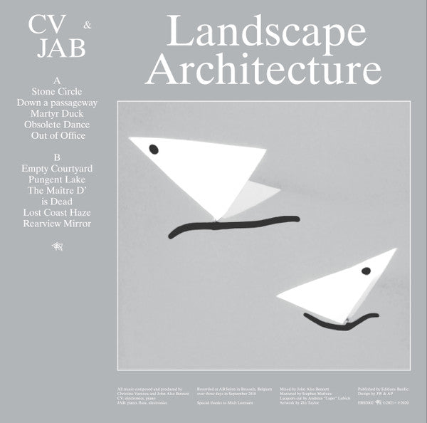 CV* & JAB* : Landscape Architecture (LP, Album, Ltd, Cle)