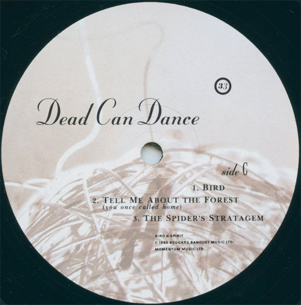 Dead Can Dance : Into The Labyrinth (2xLP, Album)