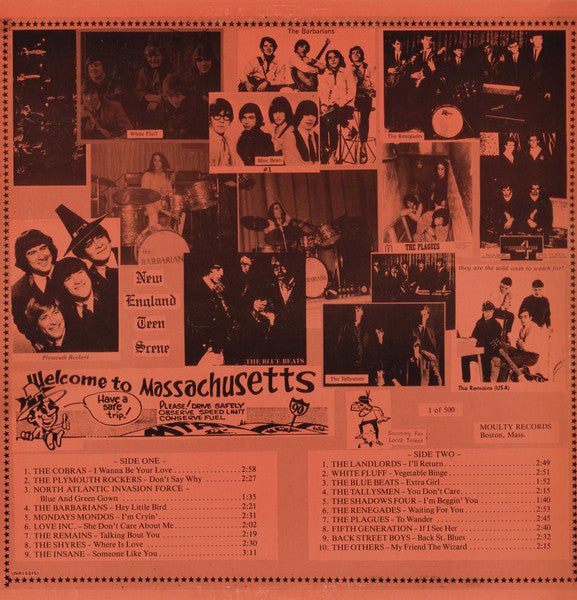 Various : The New England Teen Scene Vol. II (LP, Comp)