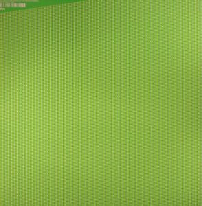 E.R.P. / Mariel Ito : Split 2 EP (12", EP, Ltd)