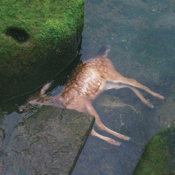 Pro Teens : Accidentally (LP, Album, Oli)