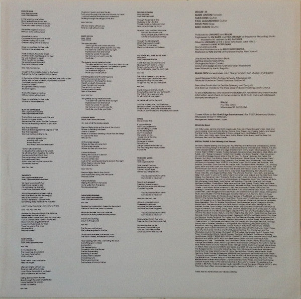 Realm (3) : Endless War (LP, Album)
