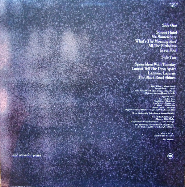 The Apartments : The Evening Visits....And Stays For Years (LP, Album)