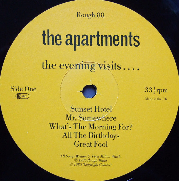 The Apartments : The Evening Visits....And Stays For Years (LP, Album)