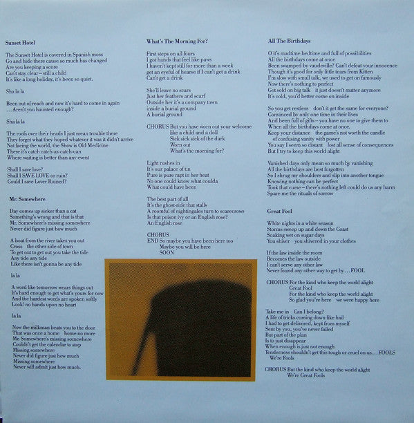 The Apartments : The Evening Visits....And Stays For Years (LP, Album)