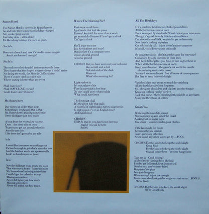 The Apartments : The Evening Visits....And Stays For Years (LP, Album)