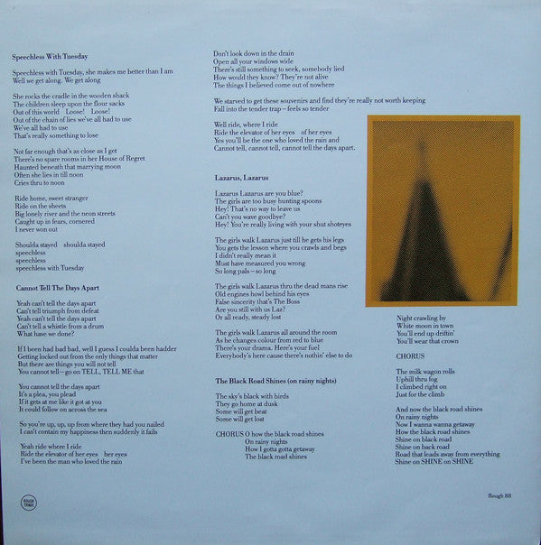 The Apartments : The Evening Visits....And Stays For Years (LP, Album)