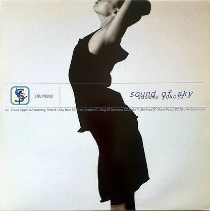 Susumu Yokota : Sound Of Sky (2xLP, Album)