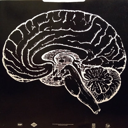 Boogie Down Productions : Edutainment (LP, Album)