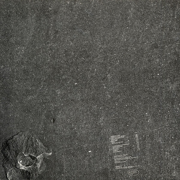 Einstürzende Neubauten : Zeichnungen Des Patienten O.T. / Drawings Of O.T. (LP, Album)