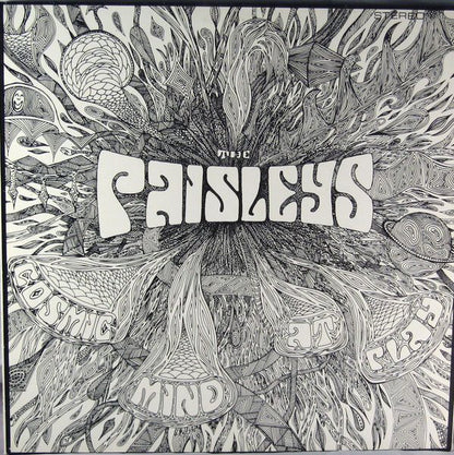 The Paisleys : Cosmic Mind At Play (LP, Album, RE, Unofficial)