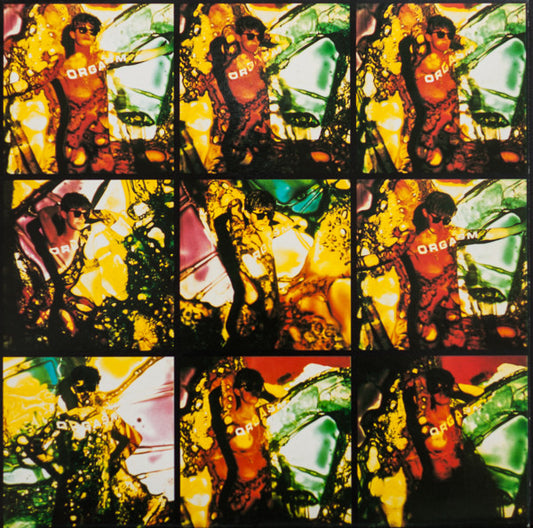 The Pooh Sticks : Multiple Orgasm (LP, Album)