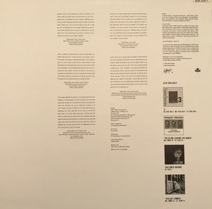 Violent Femmes : Why Do Birds Sing? (LP, Album)