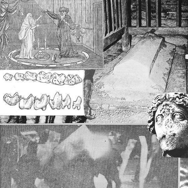 Young Echo : Young Echo (2xLP, Album, Gat)