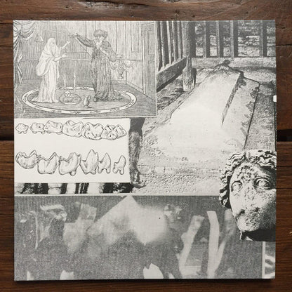 Young Echo : Young Echo (2xLP, Album, Gat)