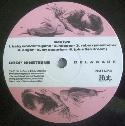 Drop Nineteens : Delaware (LP, Album)
