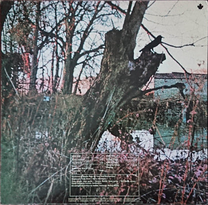 Black Sabbath : Black Sabbath (LP, Album, RE)