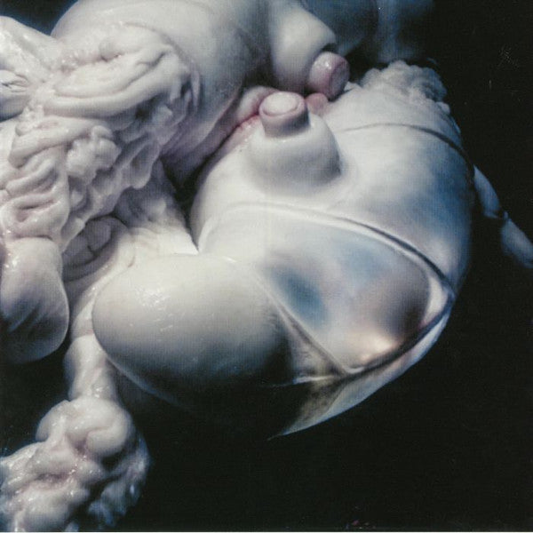 Björk : Arisen My Senses (12", Slu)