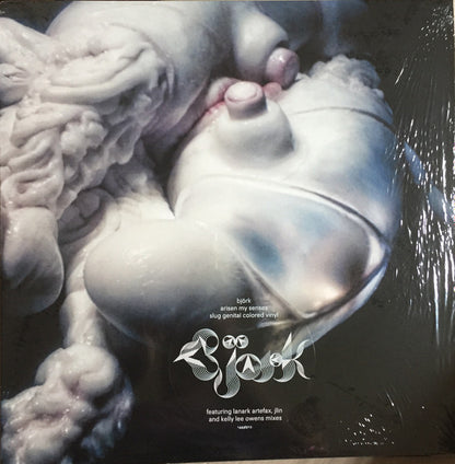 Björk : Arisen My Senses (12", Slu)