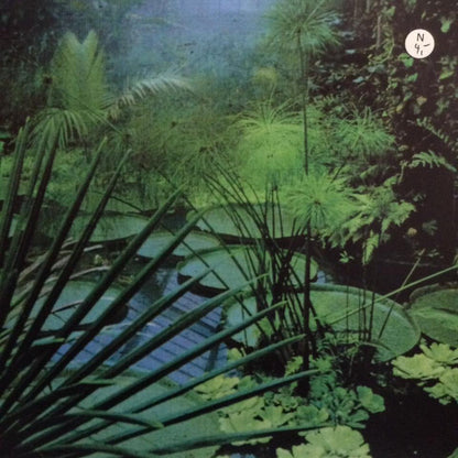 UVX : Elevator (12", Ltd, Pur)