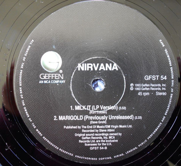 Nirvana : Heart-Shaped Box (12", Single)