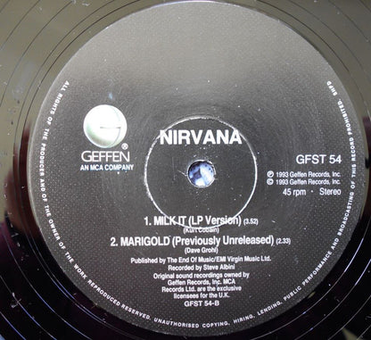 Nirvana : Heart-Shaped Box (12", Single)