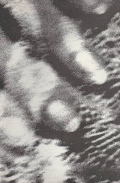 Cocteau Twins : Blue Bell Knoll (LP, Album, Ltd, Gat)