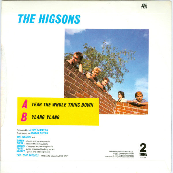 The Higsons : Tear The Whole Thing Down (7")