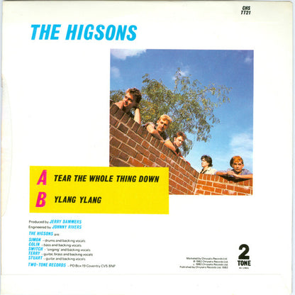 The Higsons : Tear The Whole Thing Down (7")