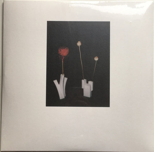 Félicia Atkinson : The Flower And The Vessel (2xLP, Album, Ltd, Cry)