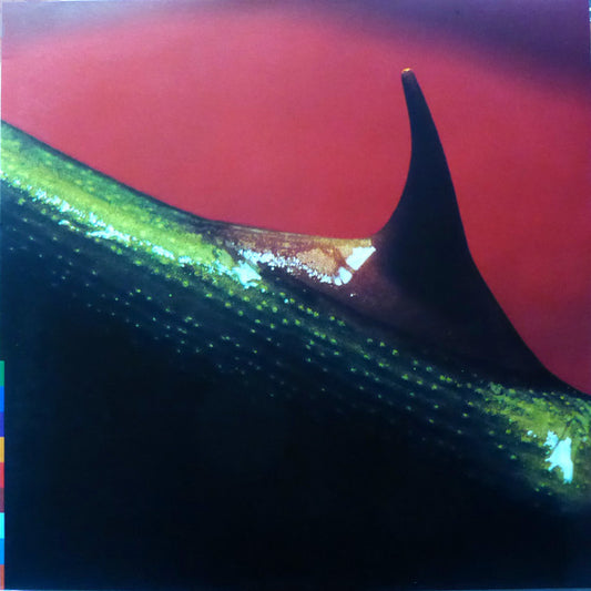 Nusrat Fateh Ali Khan & Michael Brook : Night Song (LP, Album)