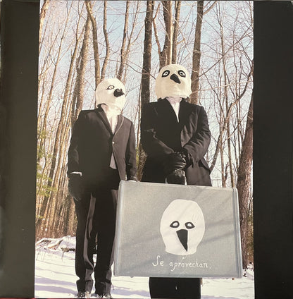 They Might Be Giants : The Else (LP, Album, Gat)