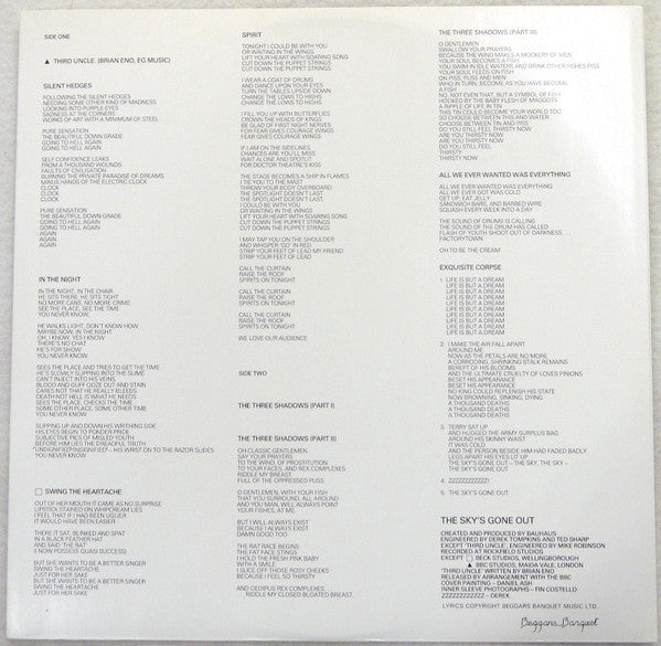 Bauhaus : The Sky's Gone Out (LP, Album)