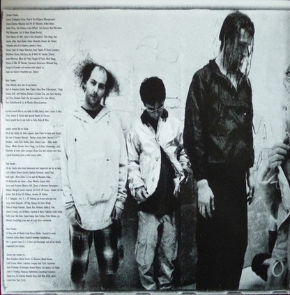 Senser : Asylum (LP, Album)