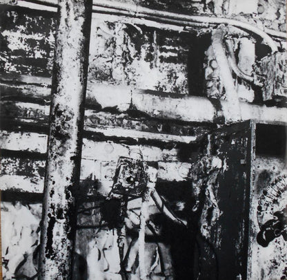Screaming Trees : Sweet Oblivion (LP, Album)