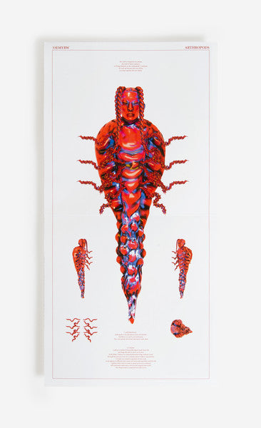 33EMYBW : Arthropods (2x12", Album, Ltd)