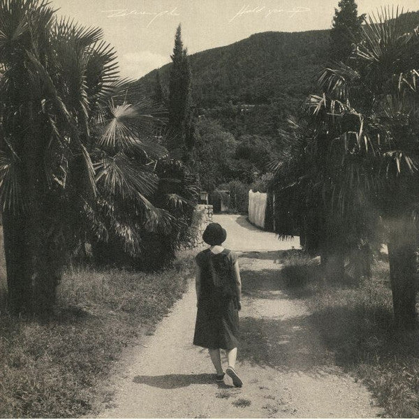 Zelienople : Hold You Up (LP, Album, Ltd)