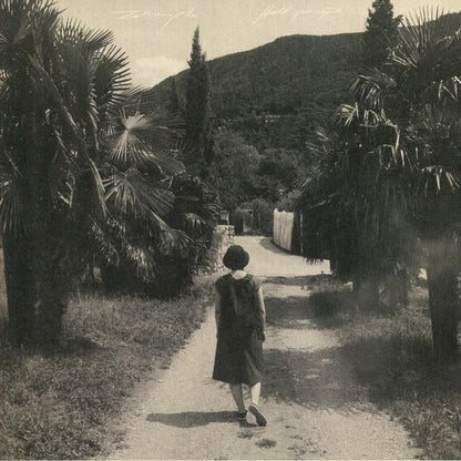 Zelienople : Hold You Up (LP, Album, Ltd)