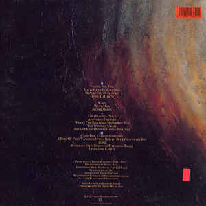 David Sylvian : Gone To Earth (2xLP, Album)