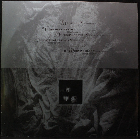This Mortal Coil : Filigree & Shadow (2xLP, Album)