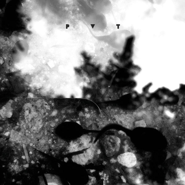 Charlemagne Palestine, Mika Vainio, Eric Thielemans : P V T (LP, Album, Ltd, Ult)