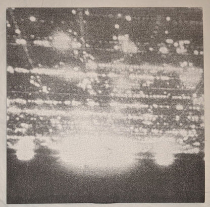 Yellow Swans : Going Places (LP, Album, Ltd, RE)