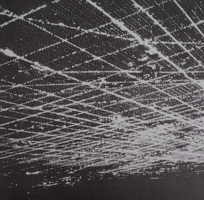 Yellow Swans : Being There (2xLP, Comp, Ltd, RE)