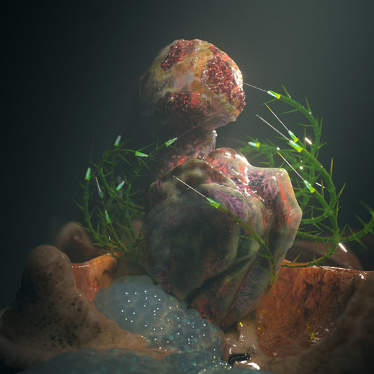 Hyph11E : Barnacles (12", Ltd)