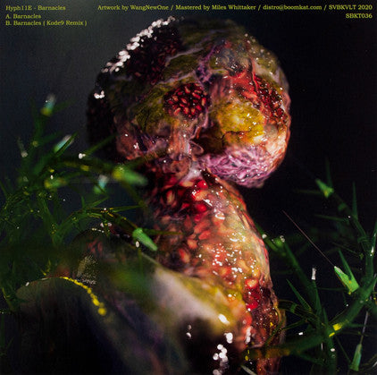 Hyph11E : Barnacles (12", Ltd)