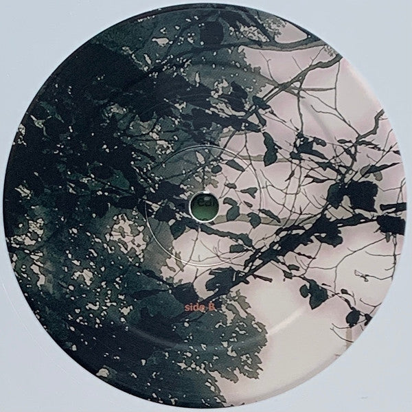 Lustmord + Nicolas Horvath : The Fall (Dennis Johnson's November Deconstructed)  (2xLP, Ltd, Whi)