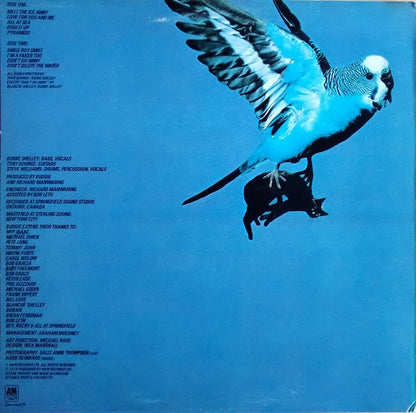 Budgie : Impeckable (LP, Album)