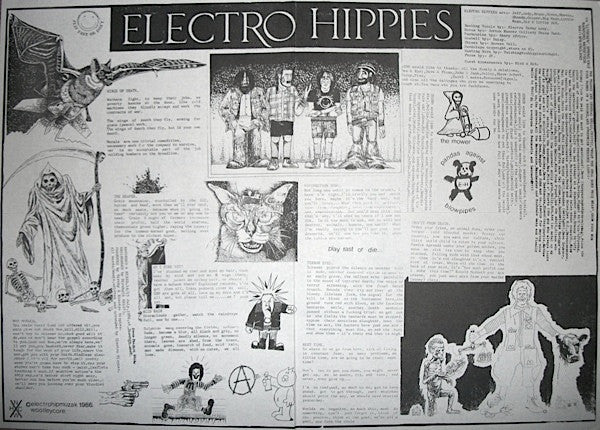 Generic / Electro Hippies : Play Loud Or Not At All (LP)